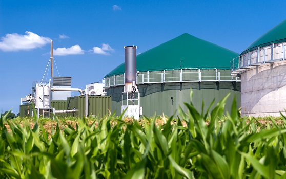 Wat is de rol van flow meting bij het omzetten van biogas in groen gas?